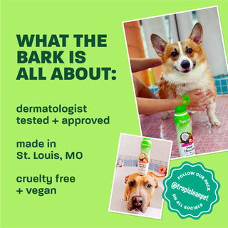 TropiClean Oatmeal + Tea Tree Medicated Itch Pet Shampoo, 20oz + TropiClean Oatmeal + Aloe Medicated Itch Relief Spray, 12 oz