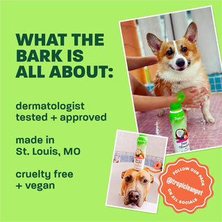 TropiClean Dog Shampoo and Conditioner & Medicated Shampoo Virtual Bundle, 20oz Each