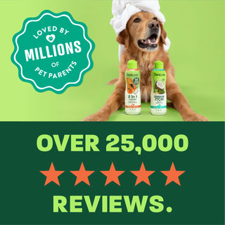 TropiClean Dog Shampoo and Conditioner & Medicated Shampoo Virtual Bundle, 20oz Each