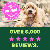 light green and  dark green background, "Loved by millions" 5 star reviews.