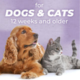 TropiClean PURE Lavender Mist Calming Plant-Based Pet Shampoo. Dog and cat sitting together with text 'for DOGS & CATS 12 weeks and older' on a purple background