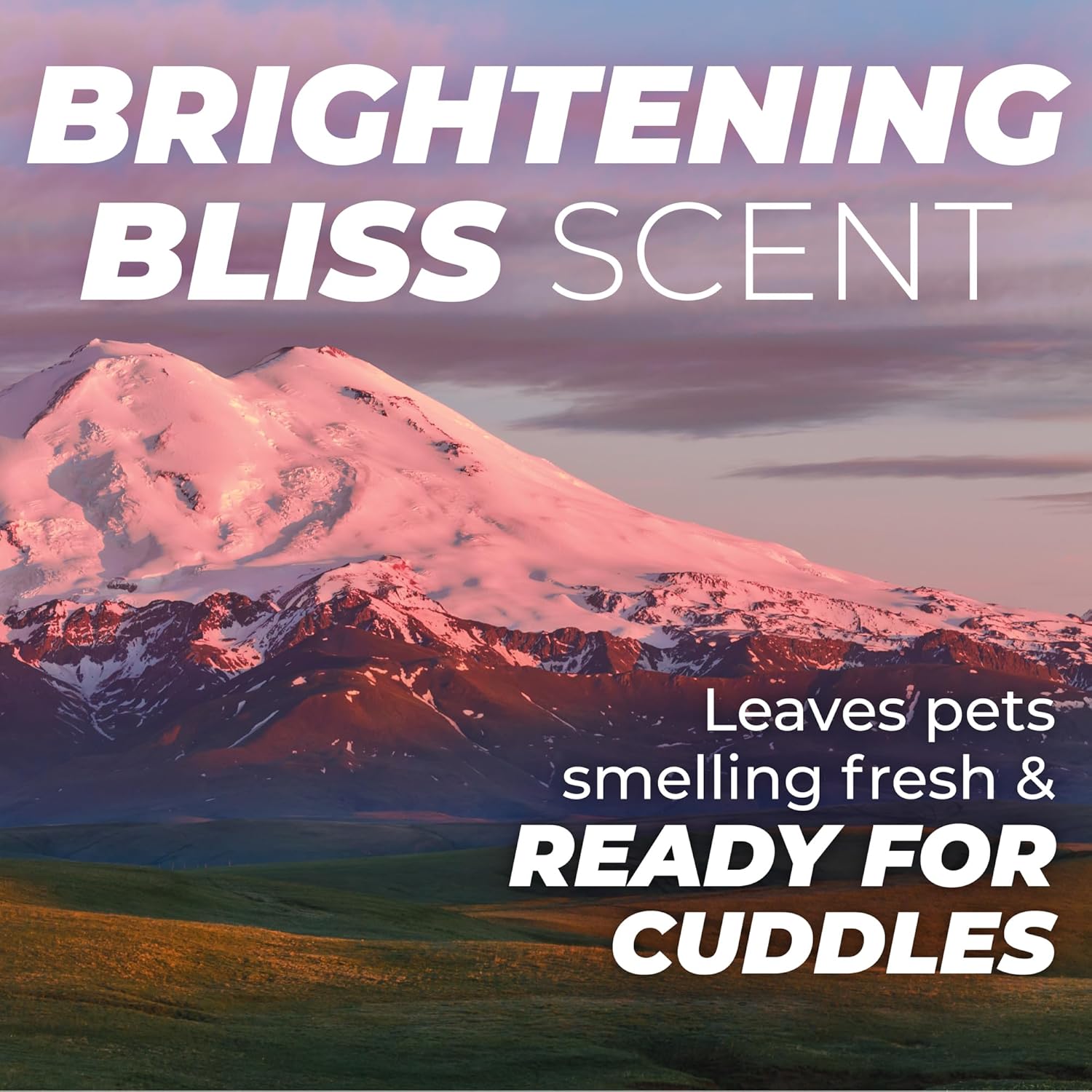 TropiClean PURE Brightening Bliss Whitening Plant-Based Dog Shampoo, scent