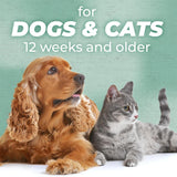 TropiClean PURE Cuddly Clean Odor Control Plant-Based Dog Shampoo. Dog and cat sitting together with text 'for DOGS & CATS 12 weeks and older' on a green background