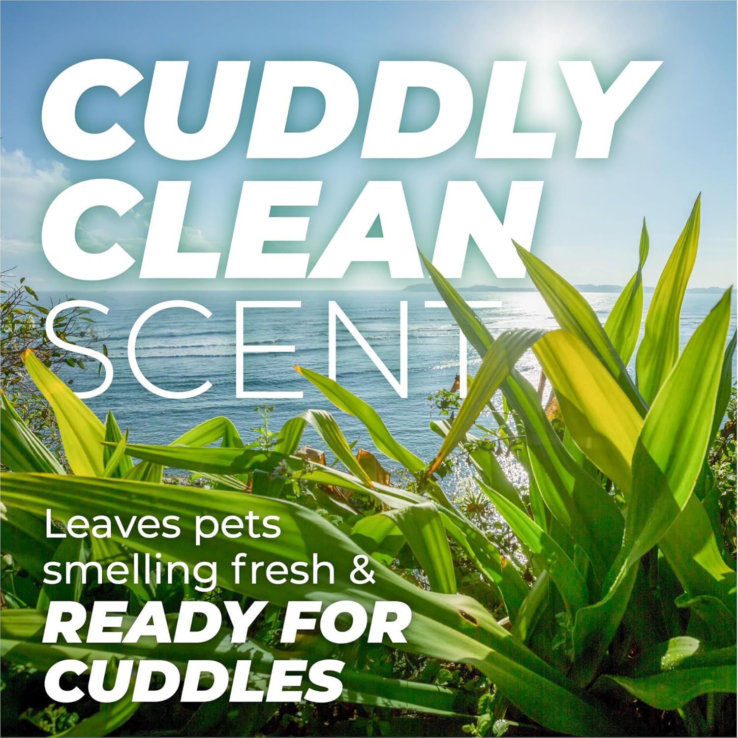 TropiClean PURE Cuddly Clean Odor Control Plant-Based Dog Shampoo, scent