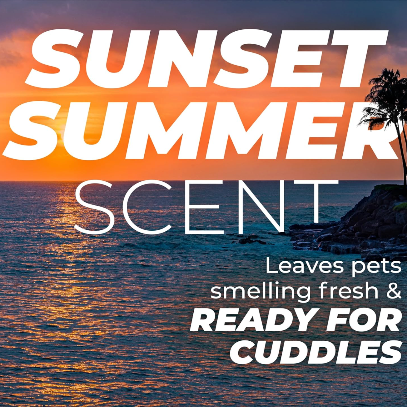 TropiClean PURE Sunset Summer Oatmeal Itch Relief Plant-Based Pet Shampoo, Sunset over water with text overlay 'Sunset Summer Scent' and promotional text.