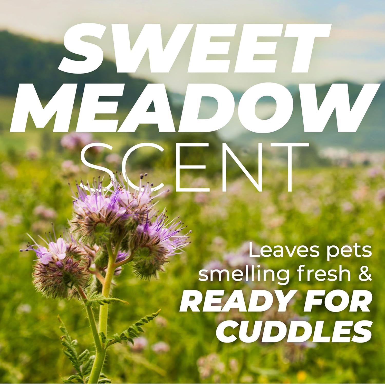 TropiClean PURE Sweet Meadow Deodorizing Plant-Based Pet Spray, Scent