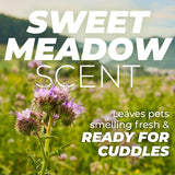 TropiClean PURE Sweet Meadow Deodorizing Plant-Based Pet Spray, Scent