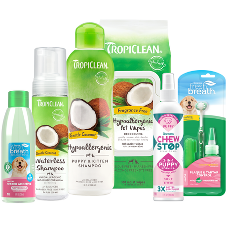 TropiClean Puppy Grooming Starter 6 Kit. Collection of Tropiclean puppy care products on a white background