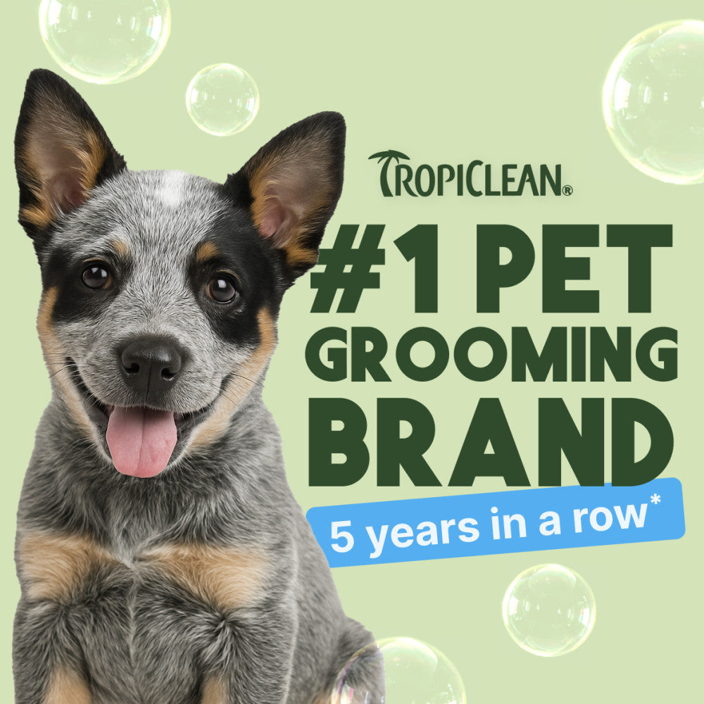Dog with Tropiclean branding text: #1 pet grooming brand for 5 years in a row, on a light green background.