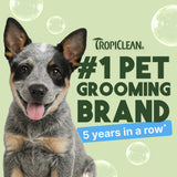 Dog with Tropiclean branding text: #1 pet grooming brand for 5 years in a row, on a light green background.