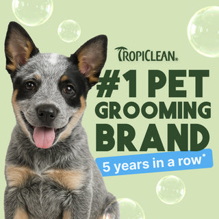 Dog with Tropiclean branding text: #1 pet grooming brand for 5 years in a row, on a light green background.