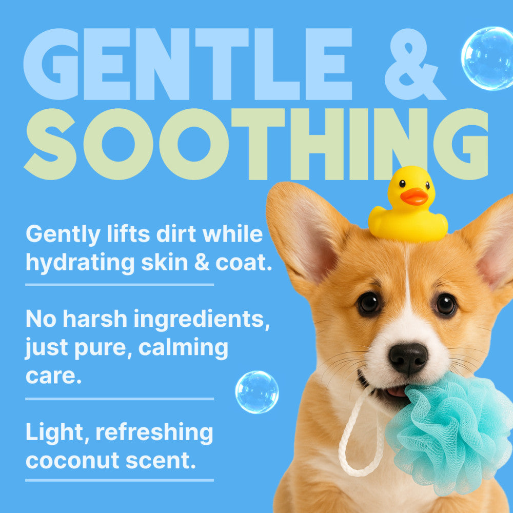 Dog with a loofah and rubber duck on a blue background with product benefits text.