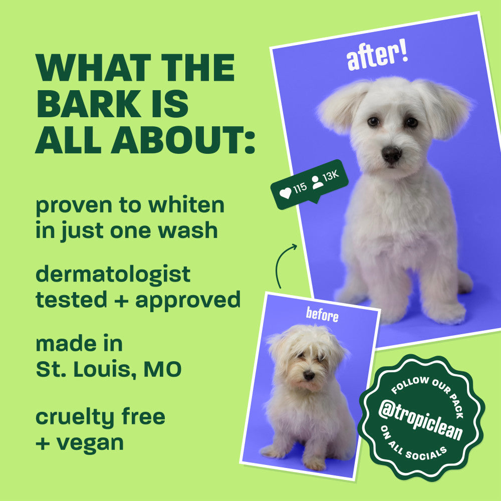 Light green background, white dog before & after, "What the bark is all about".