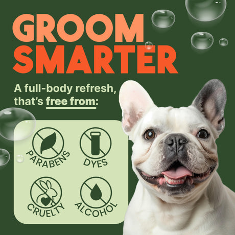 TropiClean Papaya Mist Deodorizing Pet Spray for Dogs & Cats. Dog with 'Groom Smarter' text and product features, by TropiClean