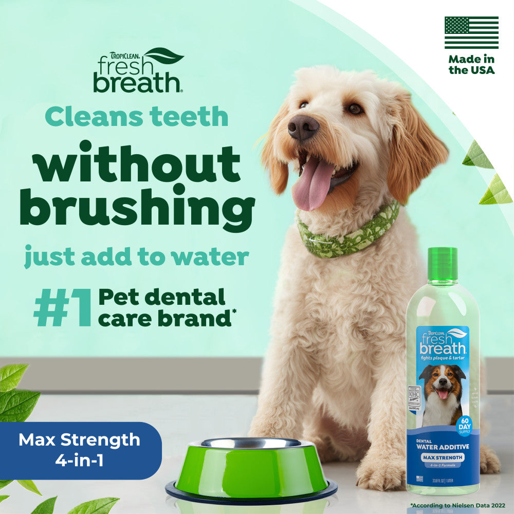 Dog with a bottle of TropiClean Fresh Breath Max Strength Dental Water Additive for Dogs and text about its benefits.