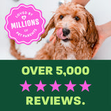 TropiClean Berry + Coconut Deodorizing Pet Spray, 10oz