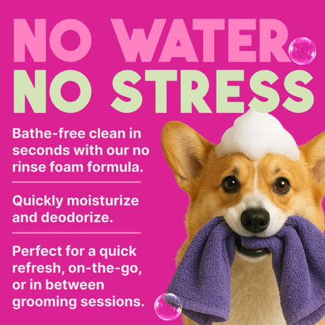TropiClean Deep Cleansing Waterless Dog Shampoo. Dog with a towel and foam with text about a no water, no stress product.