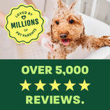 light green and green background, "Loved by millions" 5 star reviews.