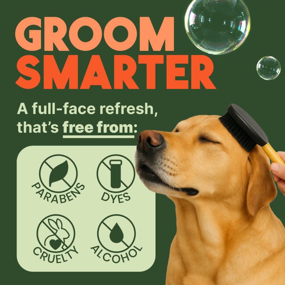 Dog being groomed with a brush, featuring 'Groom Smarter' text and ingredient-free icons