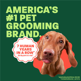 Vizsla head popping out. Text, 