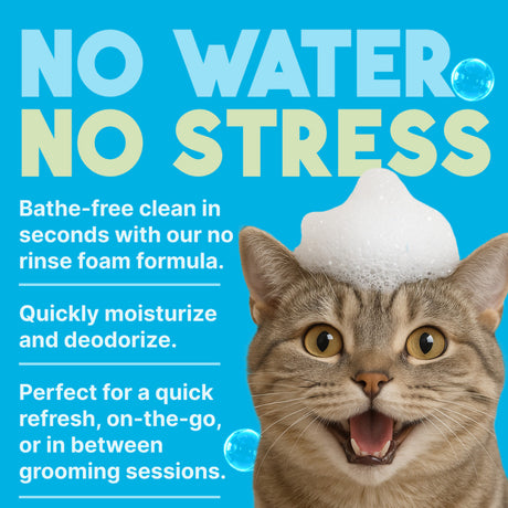 Cat with foam on head with text about no water no stress product.