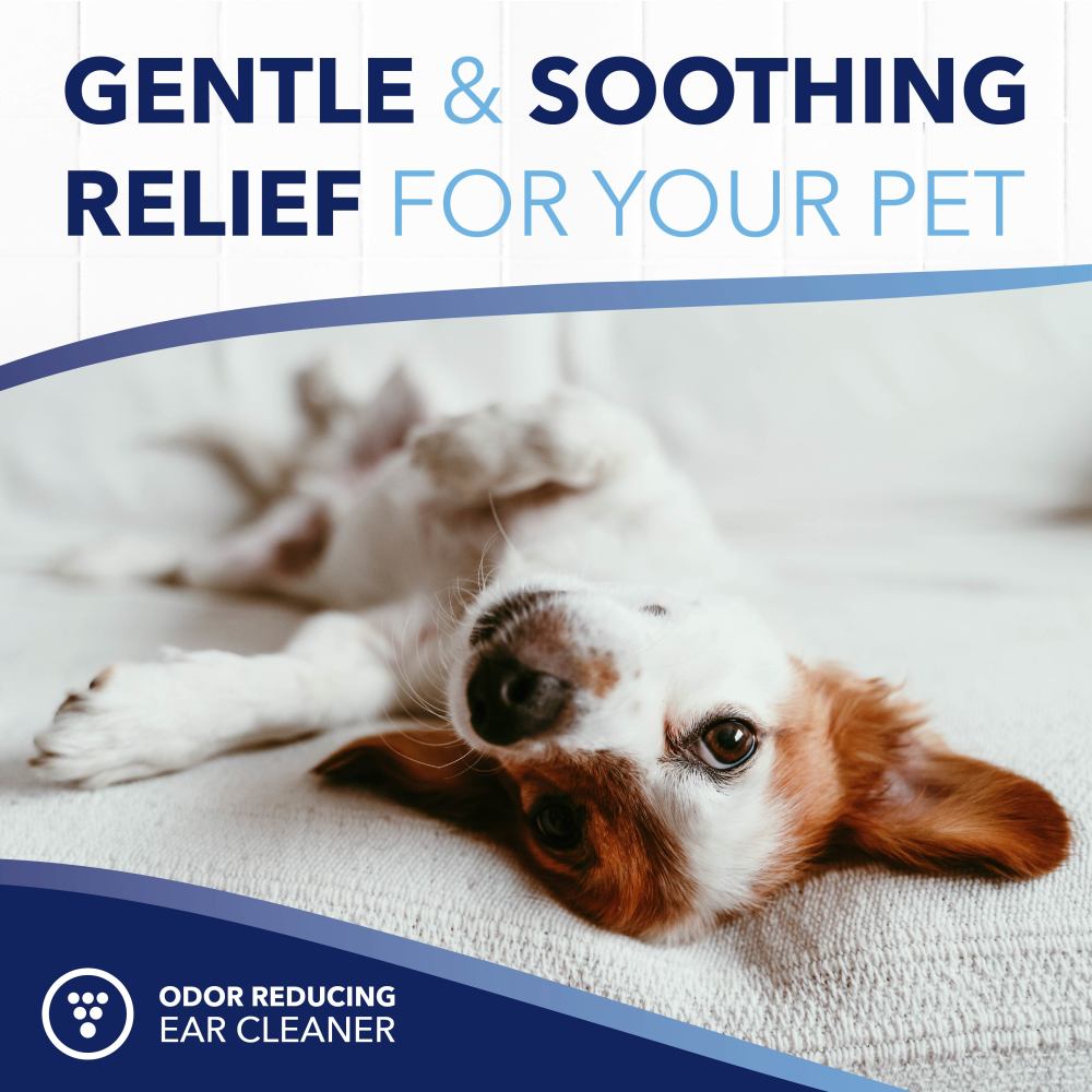 TropiClean OxyMed Ear Cleaner for Dogs and Cats, dog lying down with text 'Gentle & Soothing Relief for Your Pet' and 'Odor Reducing Ear Cleaner' on a white background.