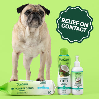 Itchy skin relief trio. Pug touching tropiclean wipes with bottles next to them.