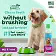 Dog with a bottle of Fresh Breath by TropiClean Oral Care Water Additive Plus Hip & Joint for Pets and text about pet dental care.