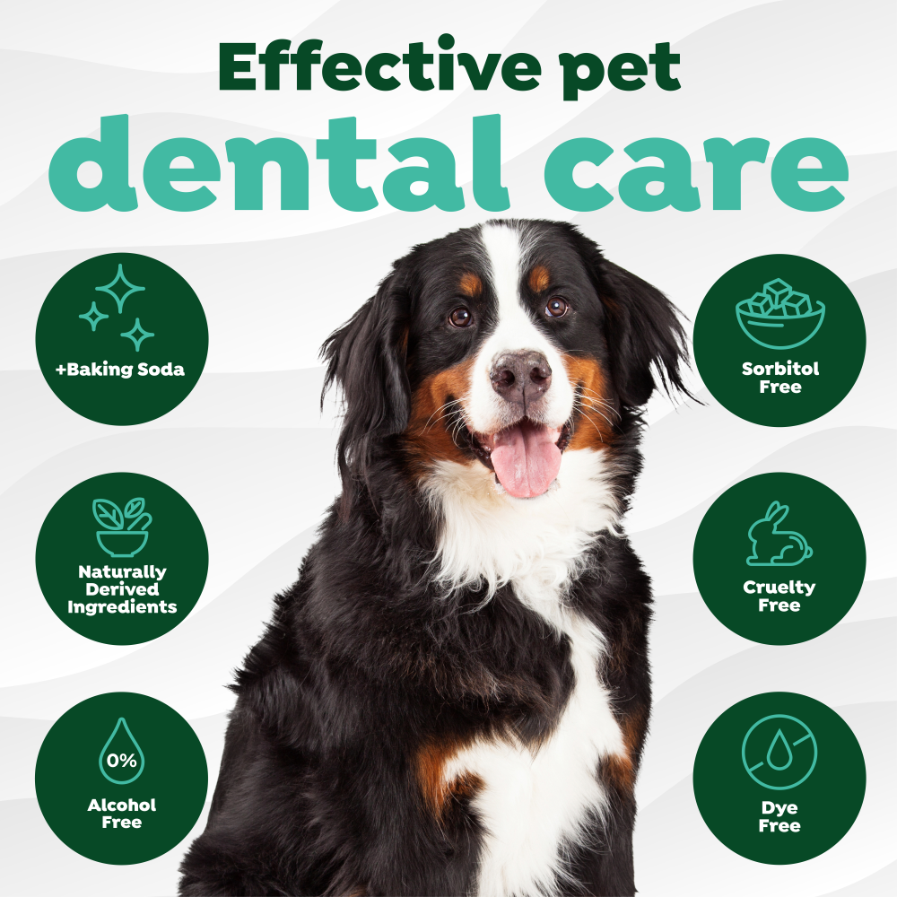 TropiClean Fresh Breath Finger Dental Wipes for Pets. Dog with 'Effective pet dental care' text and icons