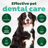 TropiClean Fresh Breath Finger Dental Wipes for Pets. Dog with 'Effective pet dental care' text and icons