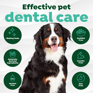TropiClean Fresh Breath Finger Dental Wipes for Pets. Dog with 'Effective pet dental care' text and icons