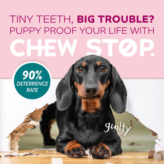 TropiClean Chew Stop Behavior Aid Puppy Spray. Dog sitting next to a chewed-up baseboard with text promoting 'Chew Stop' product.