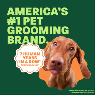 Vizsla head popping out. Text, 