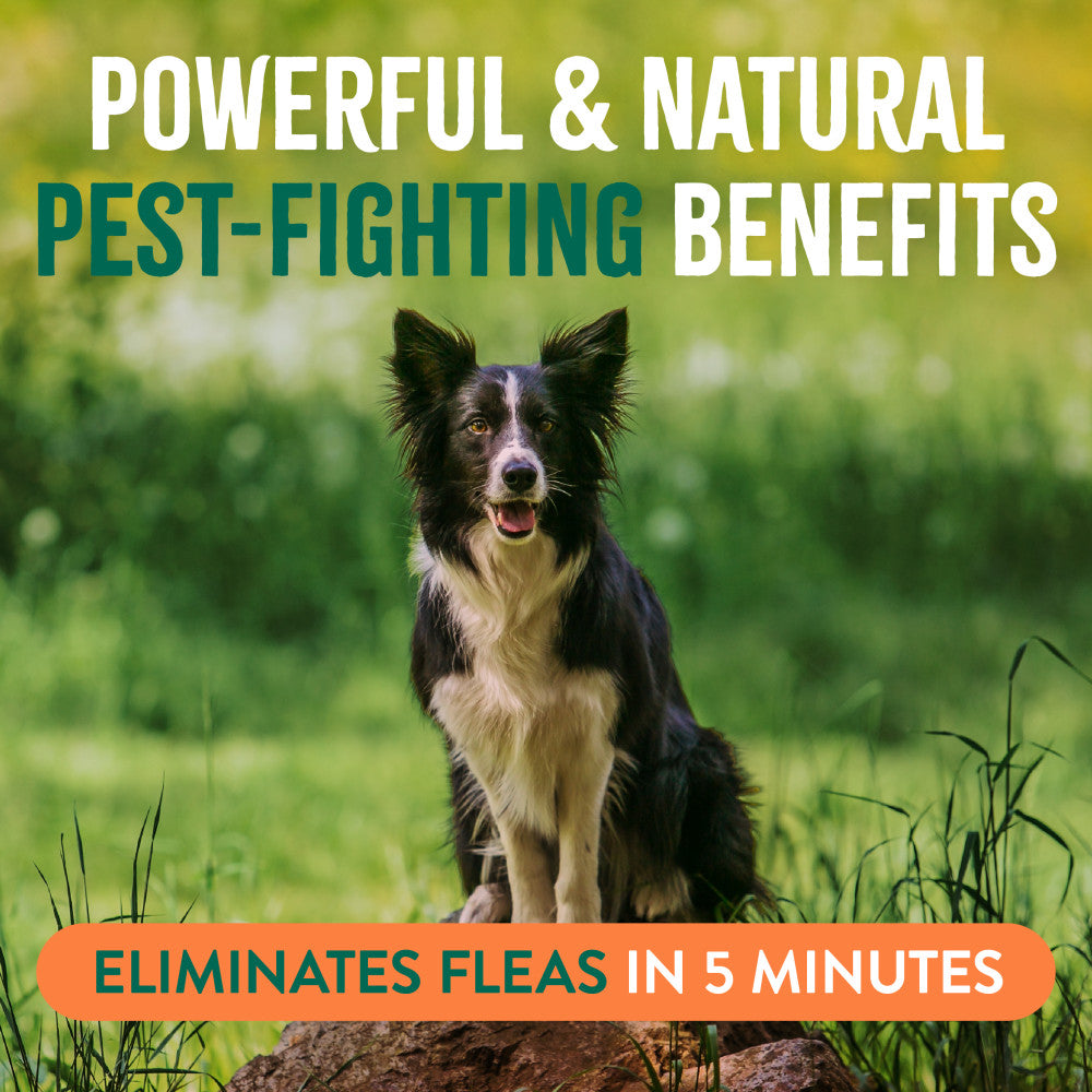 TropiClean Flea and Tick Pet & Bedding Spray for Dogs. Dog sitting on a log in a grassy field with text about pest-fighting benefits and flea elimination.