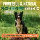 TropiClean Flea and Tick Pet & Bedding Spray for Dogs. Dog sitting on a log in a grassy field with text about pest-fighting benefits and flea elimination.