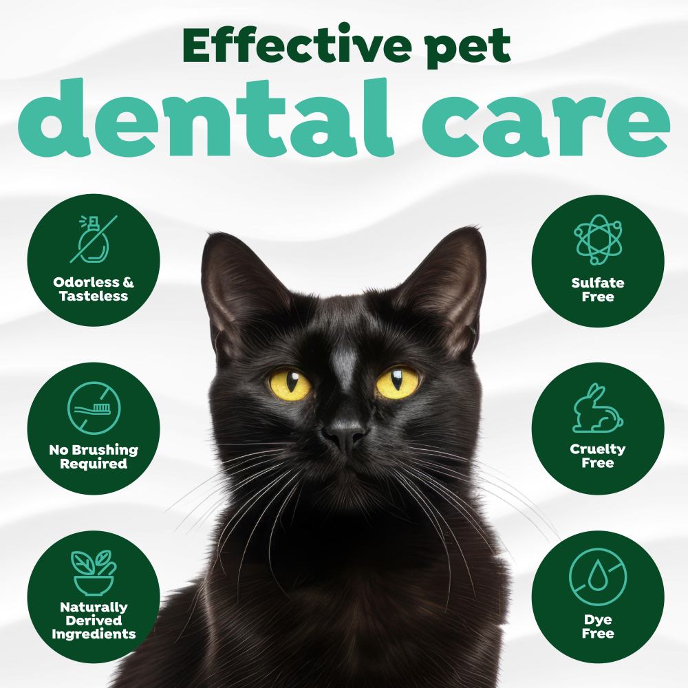 TropiClean Fresh Breath Dental Water Additive + Urinary Tract Support for Cats. Black cat with green icons and text about effective pet dental care