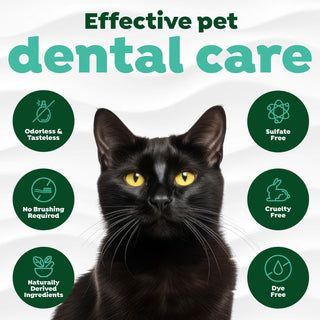TropiClean Fresh Breath Dental Water Additive + Urinary Tract Support for Cats. Black cat with green icons and text about effective pet dental care