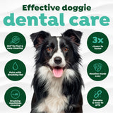 Effective dental care with features in green circles.