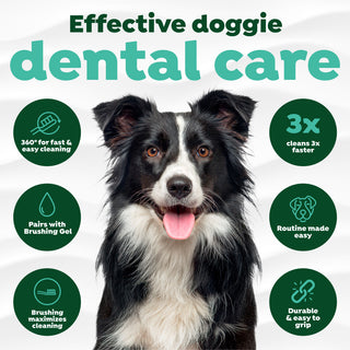 Effective dental care with features in green circles.