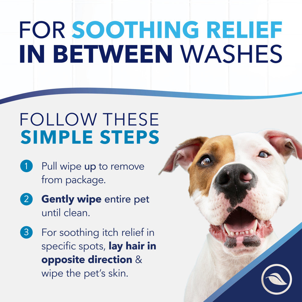 Dog with text on soothing relief between washes and steps for use.