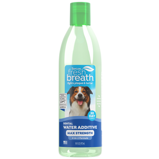 TropiClean Fresh Breath Max Strength Dental Water Additive for Dogs, front image of 16oz bottle
