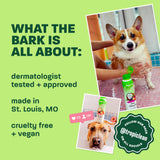 Light green background, corgi and brown dog, "What the bark is all about".