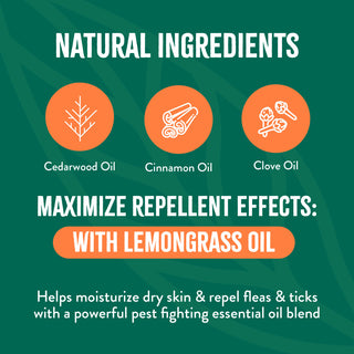 TropiClean Natural Flea + Tick Dog + Home Easy Mist Spray. Promotional graphic for natural ingredients with icons and text on a green background