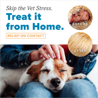 HomeVet Medicated Hot Spot Cream for Dogs by TropiClean. Advertisement for a pet care product showing a dog being petted with 'Before' and 'After' effects on skin condition.