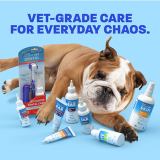 Bulldog on blue background with homevet line items.