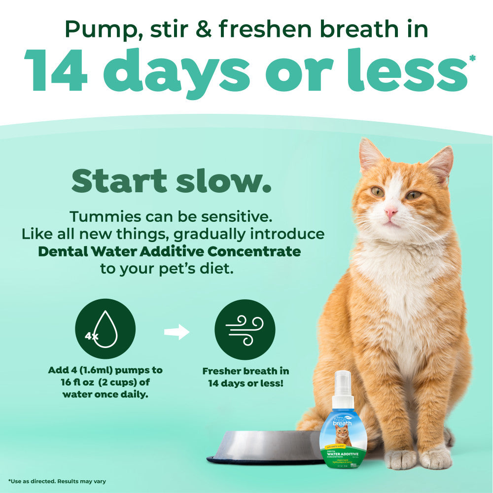 TropiClean Fresh Breath Cat Dental Water Additive Concentrate. Cat with dental water additive concentrate bottle