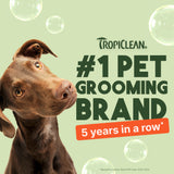 Tropicalen #1 Pet Grooming Brand claim with a brown dog on a light green background