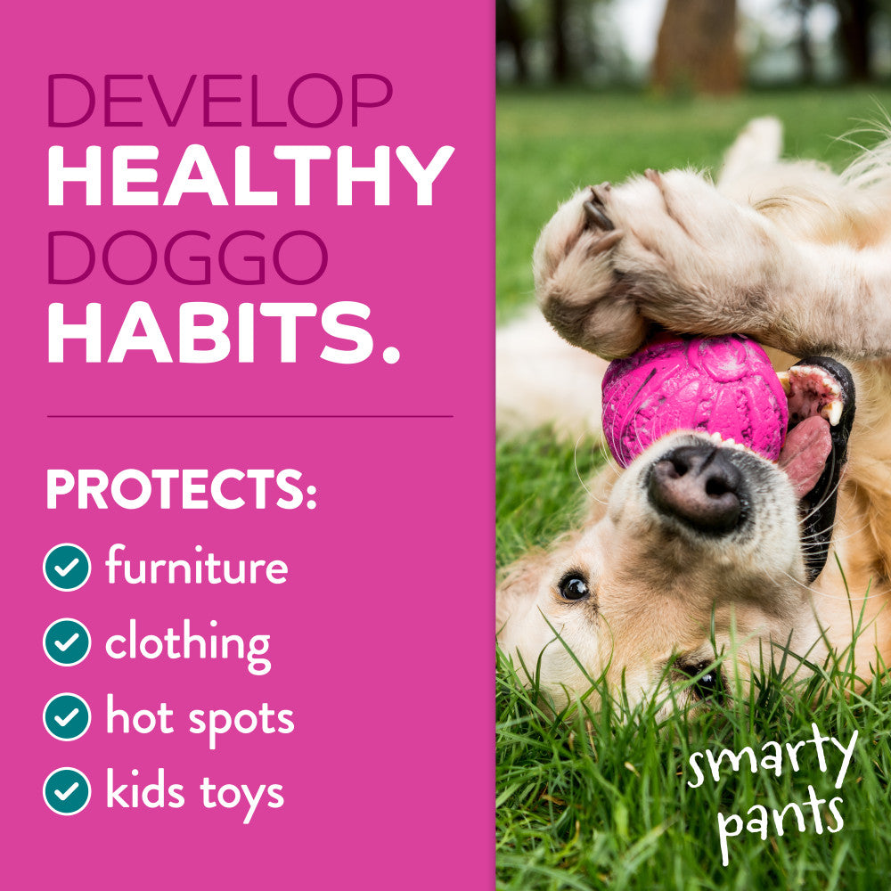 Dog playing with a pink toy on grass, with text about developing healthy dog habits and product name 'smartypants'.