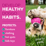 Dog playing with a pink toy on grass, with text about developing healthy dog habits and product name 'smartypants'.