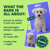 Light green background, white dog before & after, "What the bark is all about".